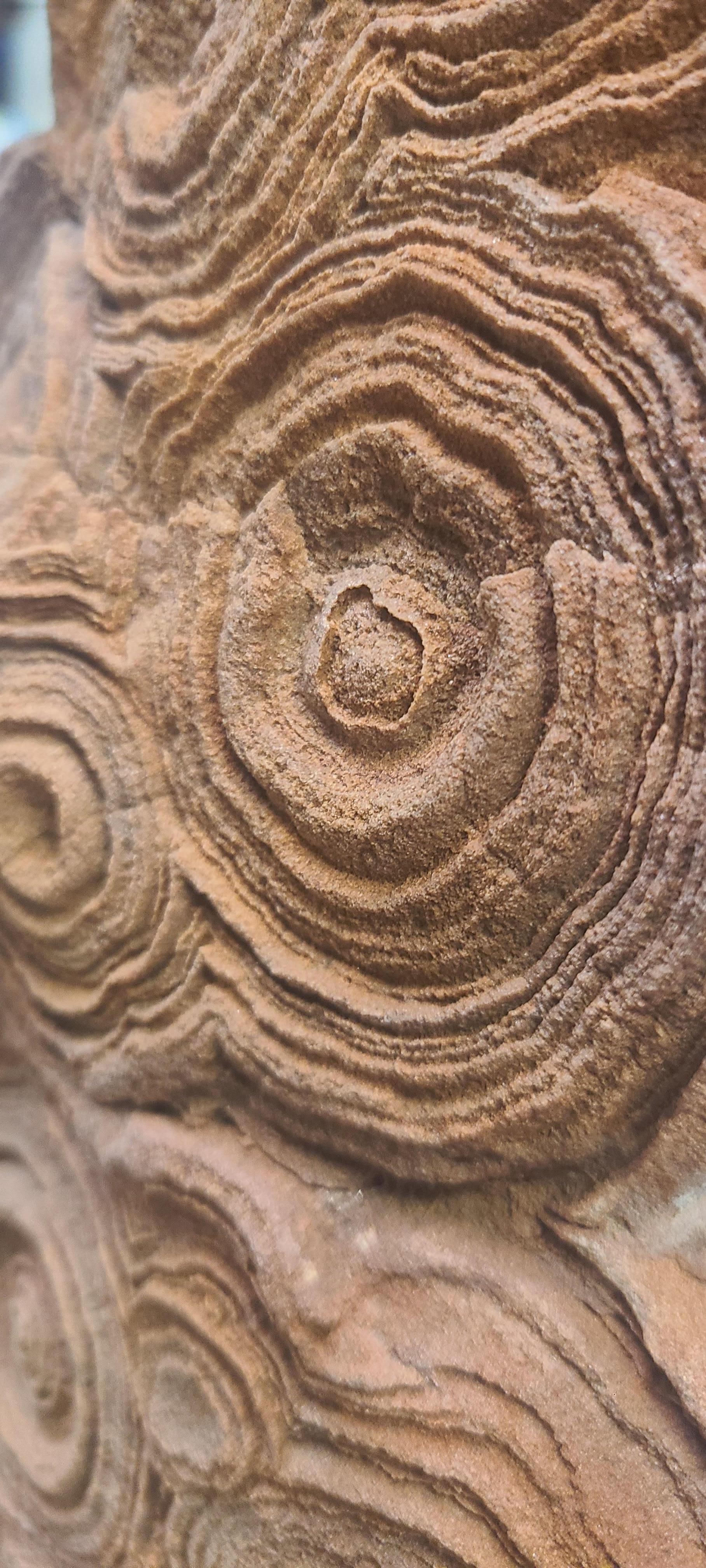 Moroccan Stromatolithe 