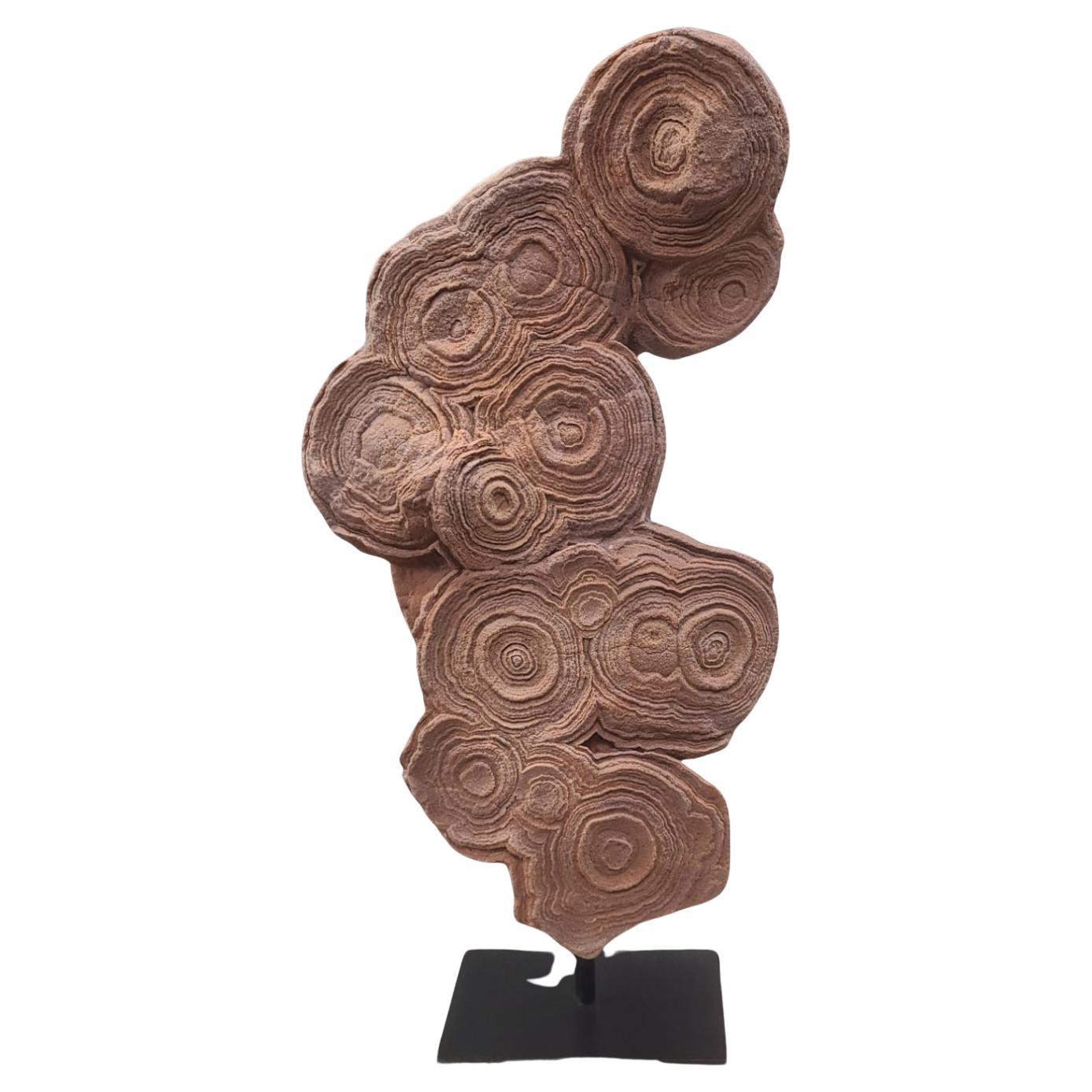 Stromatolithe "gogota roja del desierto" de Marruecos sobre soporte de acero con garras personalizado