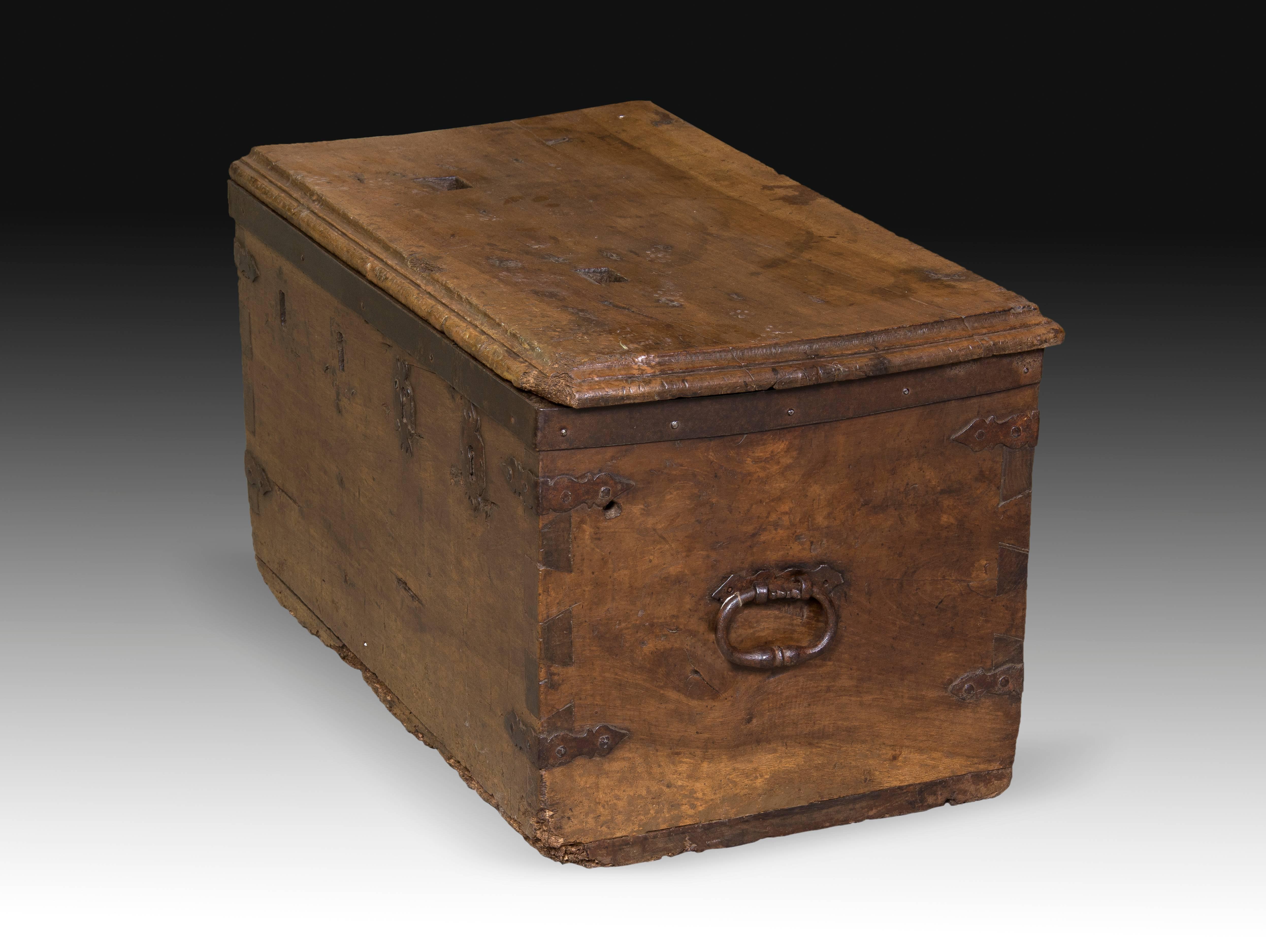 Rectangular chest of flat top with handles on the sides, four locks per key (two keep the horseshoe shield) and corner corners on the edge and the sides in iron. Although the form follows the most common models of arks and cabinets of the time, the