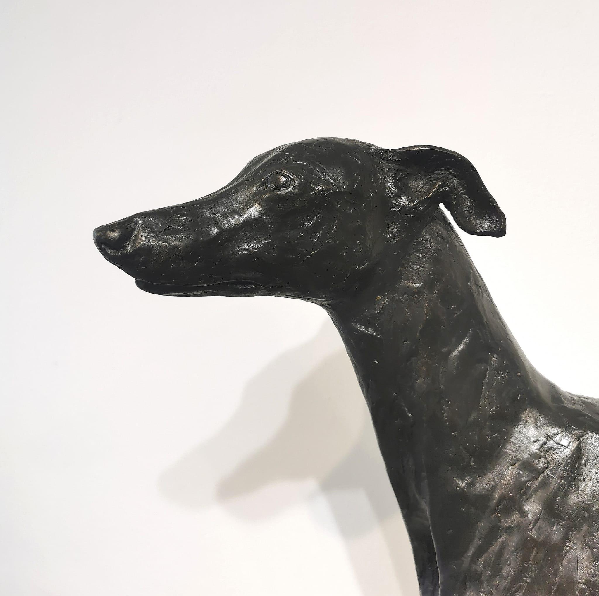 Humo  Escultura de Bronce de tamaño natural de un Whippet - Sculpture de Stuart Anderson 
