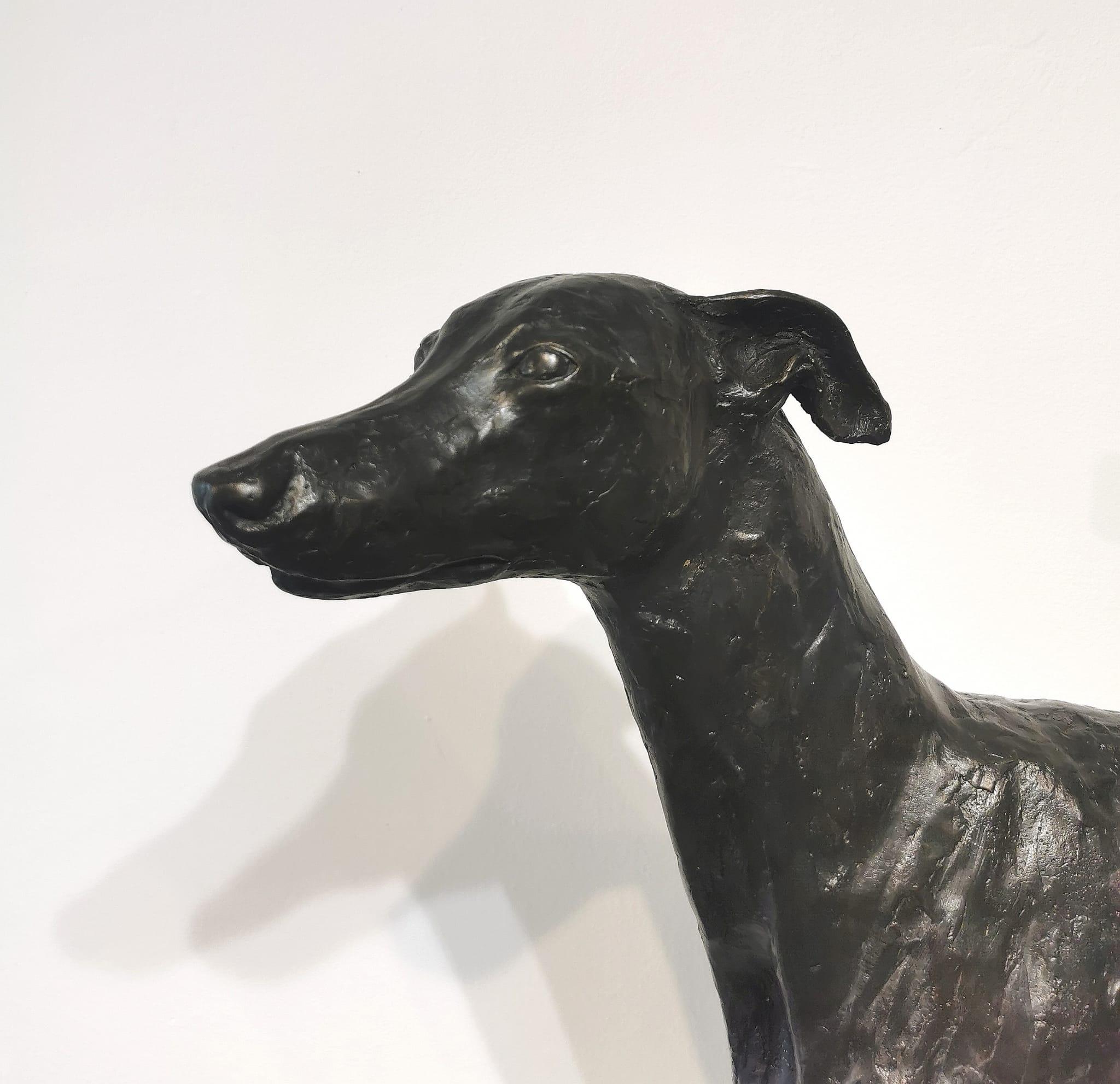 Humo  Escultura de Bronce de tamaño natural de un Whippet - Sculpture Contemporáneo de Stuart Anderson 