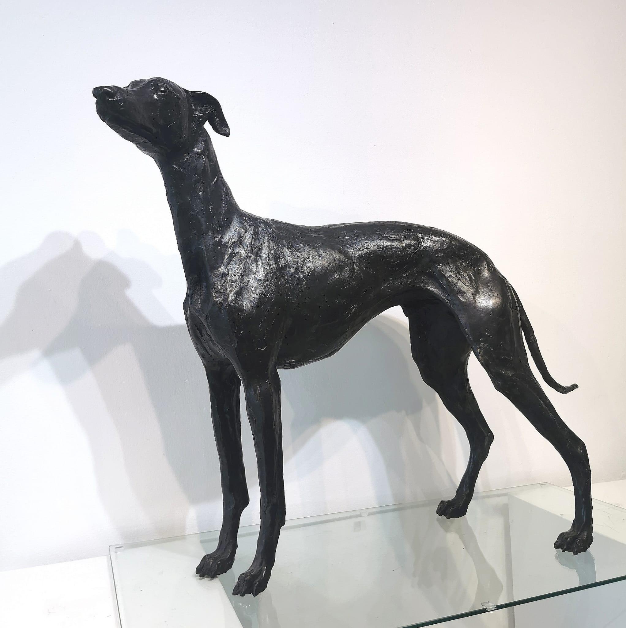 Humo  Escultura de Bronce de tamaño natural de un Whippet - Figurative Sculpture Oro de Stuart Anderson 