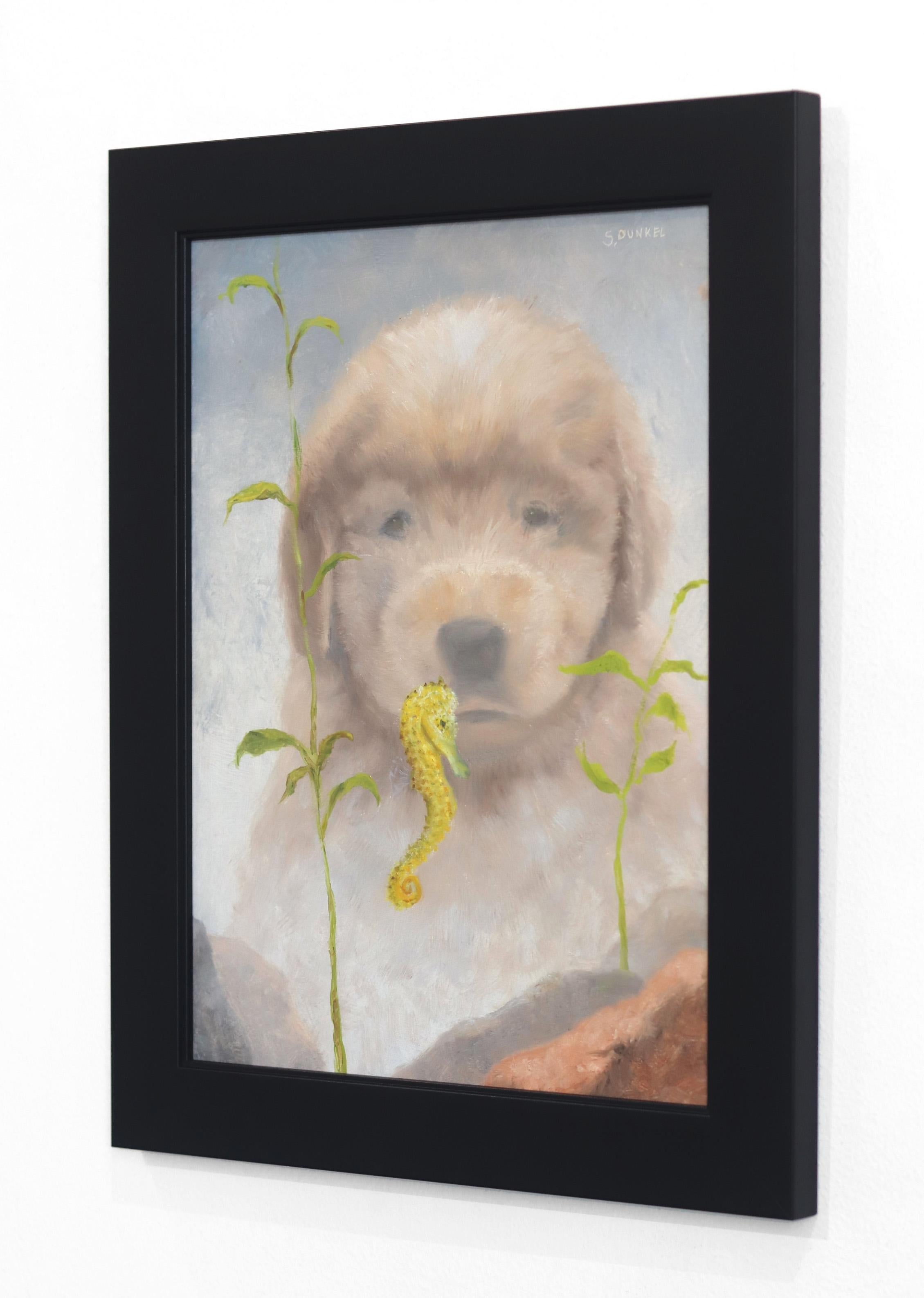 Cavalluccio marino e cucciolo - Quadro animale incorniciato Cane che guarda l'acquario - Animal Painting Grigio di Stuart Dunkel