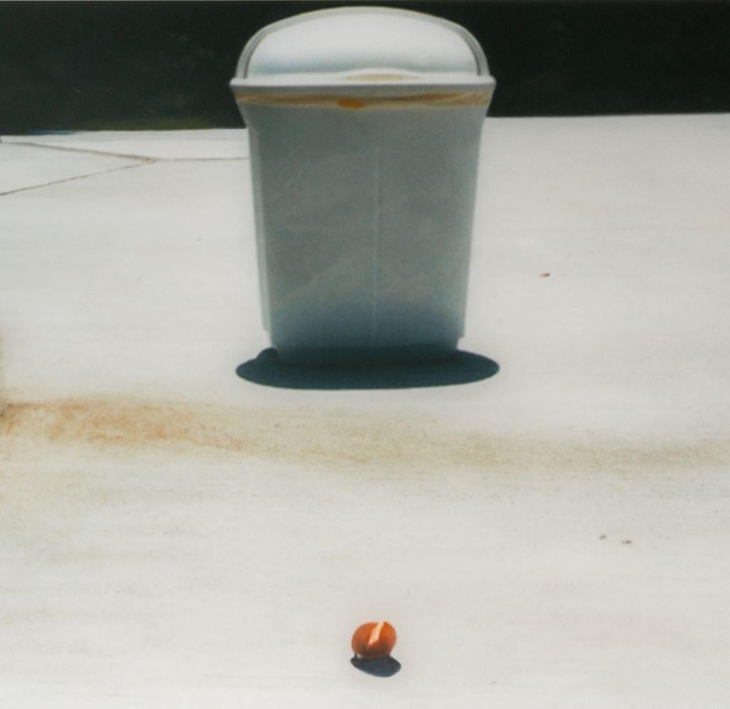 Spettacolo di strada suburbano - Photograph di Stuart Hawkins