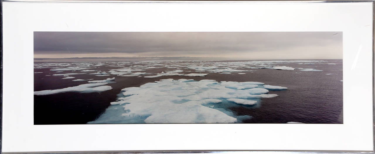 Artist: Stuart Klipper, American (1941 -  )
Title: Most North
Year: 1981
Medium: C-Print Photograph
Size: 12  x 38 in. (30.48  x 96.52 cm)
Frame Size: 19.5 x 45.5 inches