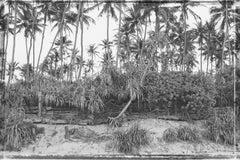 Stuart Möller 'Palms Beach' Unframed Limited Numbered and Signed Edition