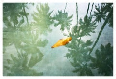 Signe Stuart Möller 'Yellow Leaf' Edition limitée numérotée et signée, non encadrée