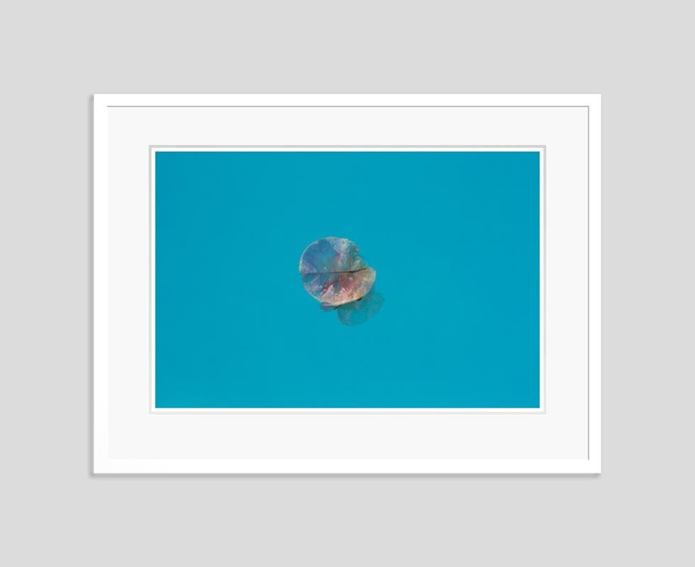 ' Pétalo de Istán ' Impresión sobredimensionada en pigmento de archivo Enmarcada en blanco - Photograph de Stuart Möller