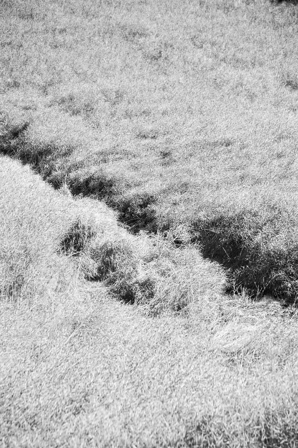 Stuart Möller Landscape Photograph – ' Ohne Titel '  SIGNIERTER Druck in limitierter Auflage im Überformat