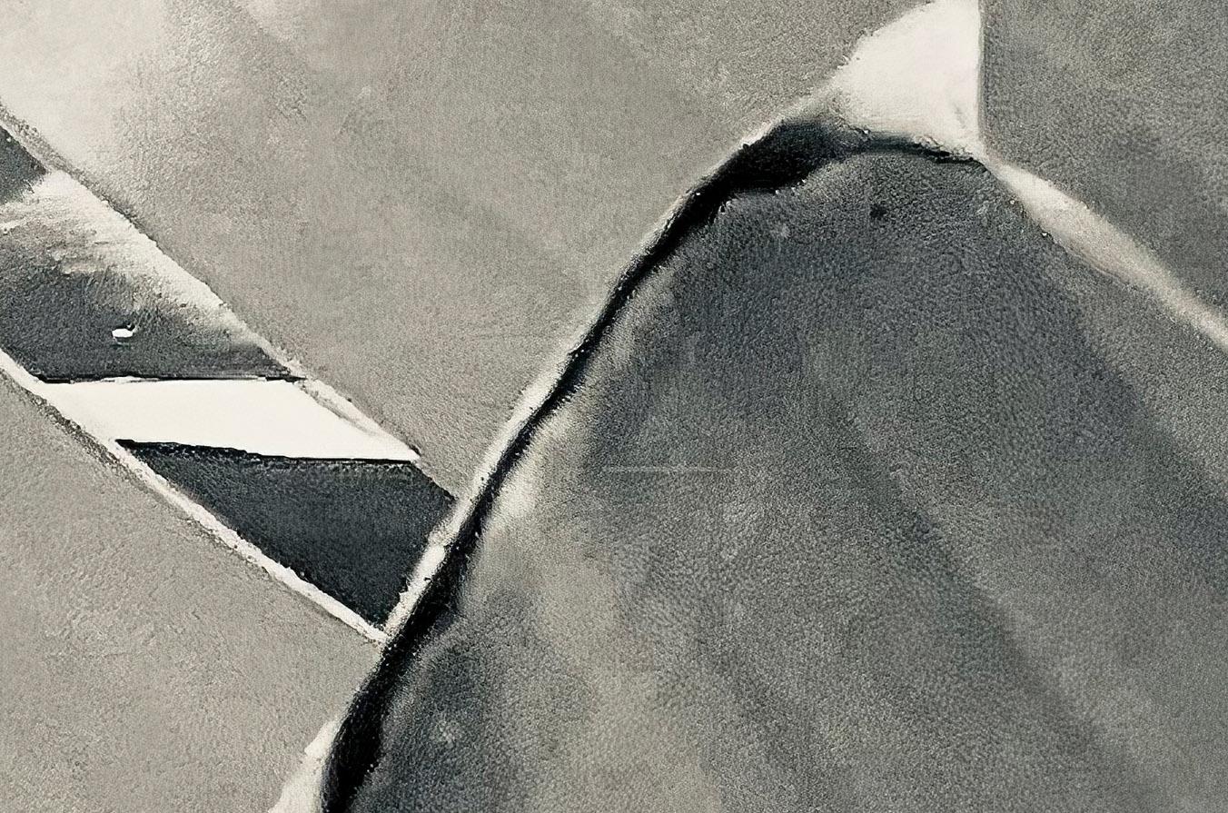 Bananenblätter 24  ( signiert begrenzt  Überformatiger Druck  ) – Photograph von Stuart Möller