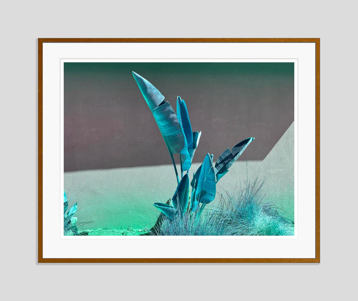 Banana Turquoise 2022 by Stuart Möller For Sale 3