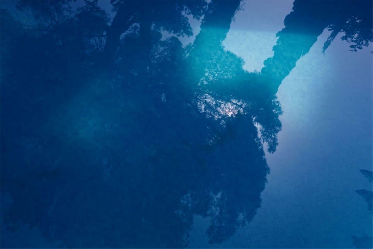Blue

The sun filters through from behind some trees reflected in a pool.

by Stuart Möller

Born in Kabul, part German and Anglo-Indian and having grown up all over the world,
Stuart Möller is a fine art photographer whose images are often