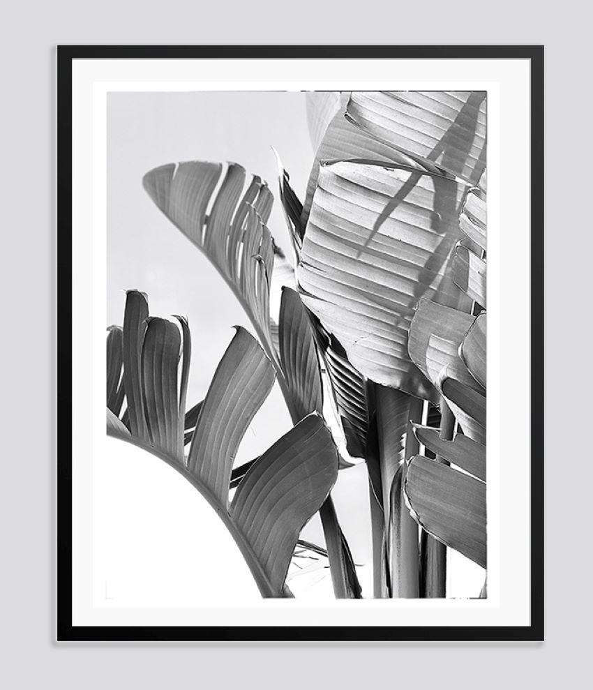 Foliage I 2022 by Stuart Möller For Sale 3