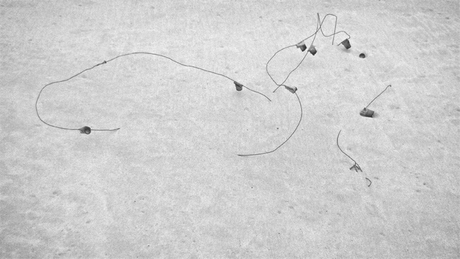 Incidental Sculpture

Wire nd tags are bent and shaped by the sea and embedded in the sand on a beach. 

by Stuart Möller

Born in Kabul, part German and Anglo-Indian and having grown up all over the world,
Stuart Möller is a fine art photographer