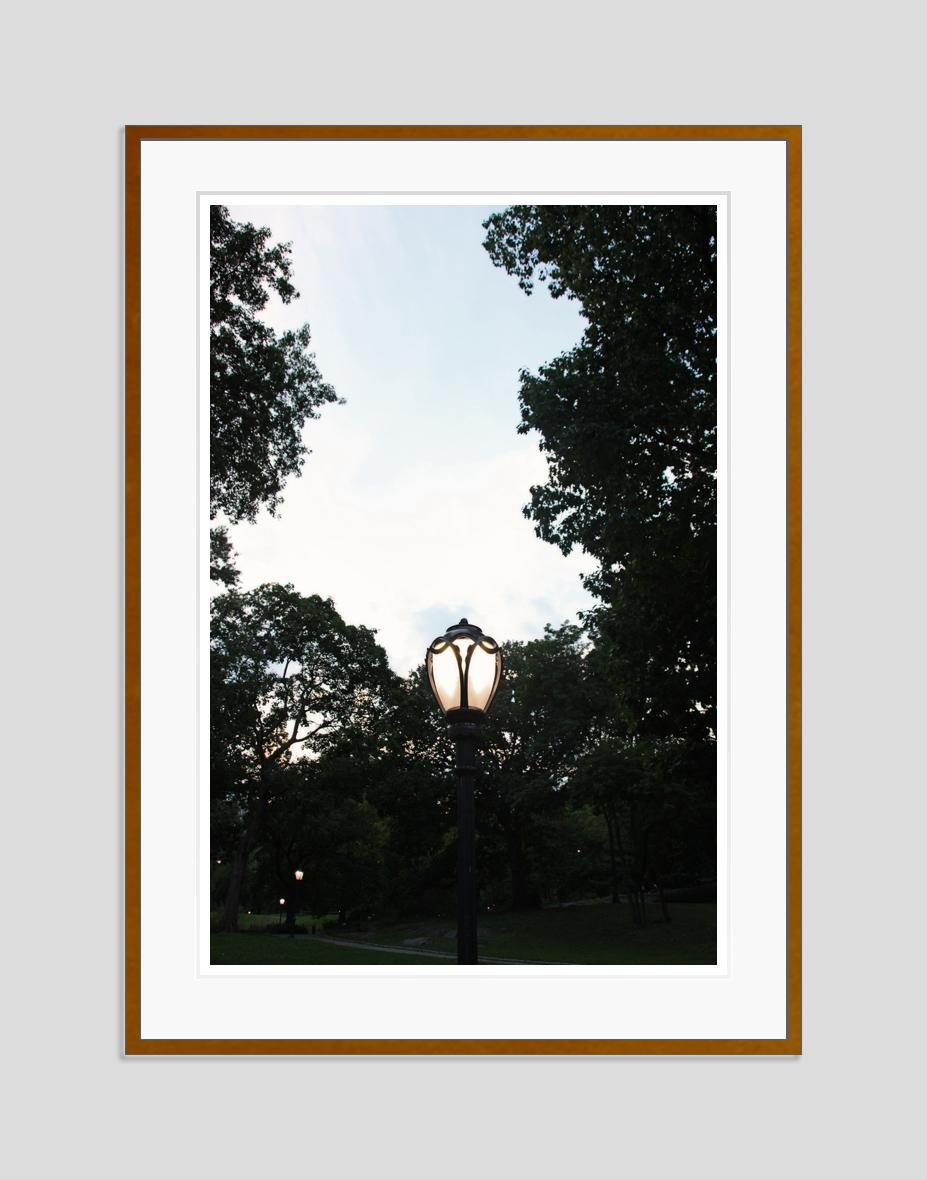 Sinfonía de Luz de Stuart Möller en venta 1