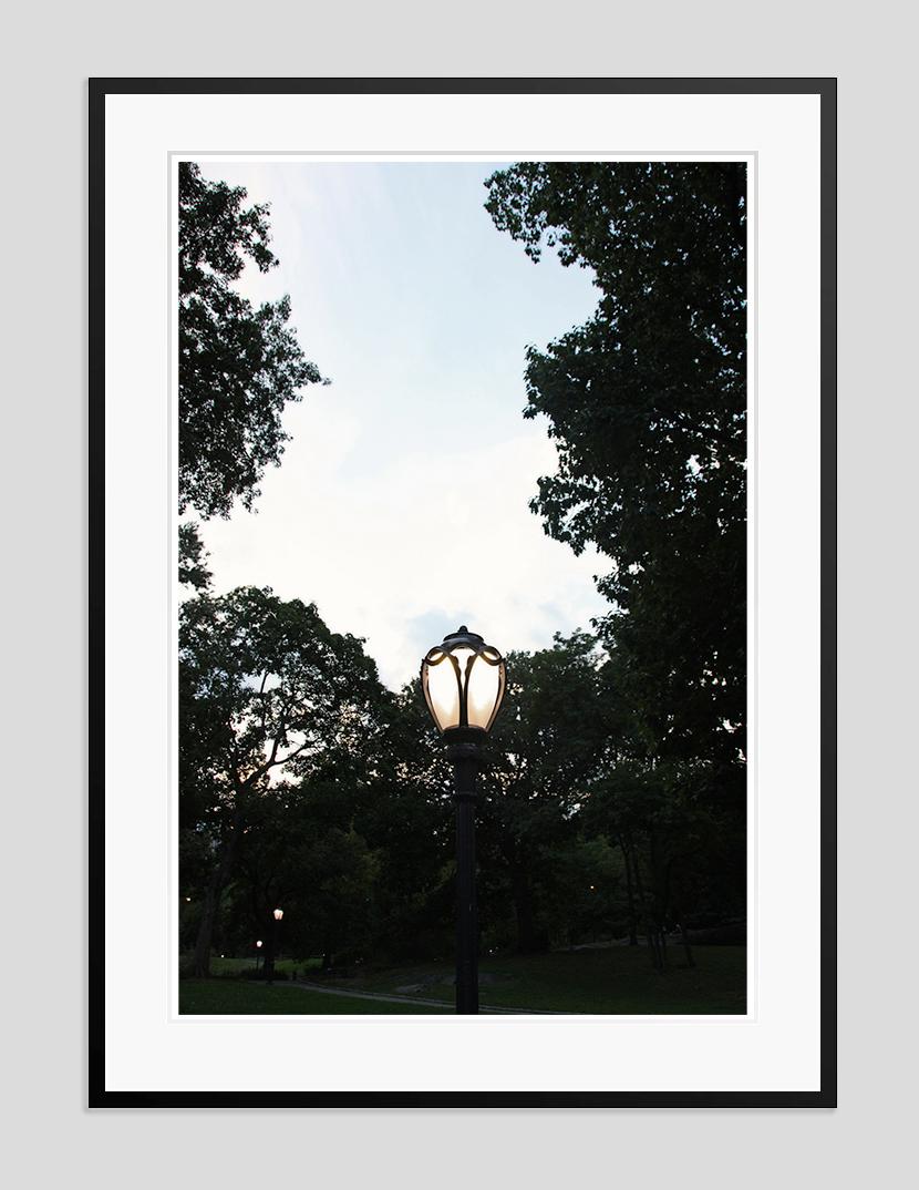 Light Symphony

A lamp post in Central Park New York City, New York USA

by Stuart Möller

Born in Kabul, part German and Anglo-Indian and having grown up all over the world,
Stuart Möller is a fine art photographer whose images are often