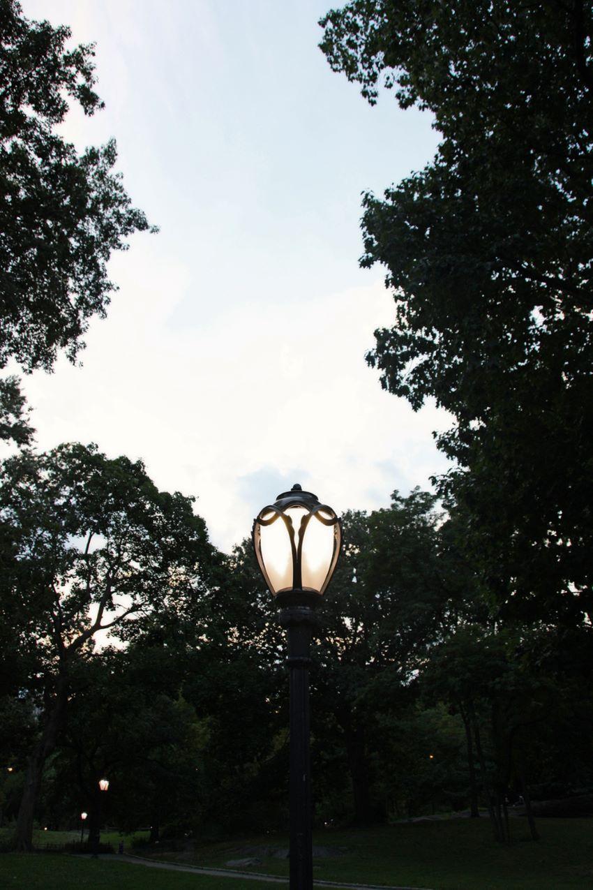 Symphonie légère

Un lampadaire dans Central Park New York City, New York USA

par Stuart Möller

Né à Kaboul, d'origine allemande et anglo-indienne, il a grandi aux quatre coins du monde,
Stuart Möller est un photographe d'art dont les images se