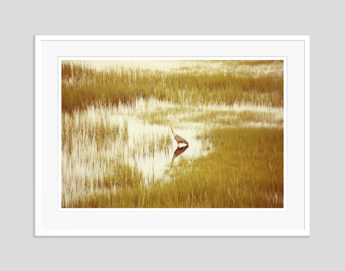 Massachusetts Hero -  Oversize Signed Limited Edition Print  - Brown Color Photograph by Stuart Möller