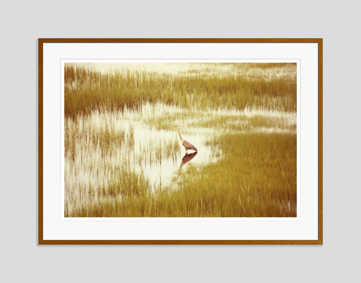 Massachusetts-Reiher 2013 von Stuart Möller im Angebot 1