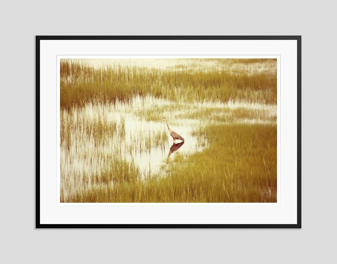 Massachusetts-Reiher 2013 von Stuart Möller im Angebot 3
