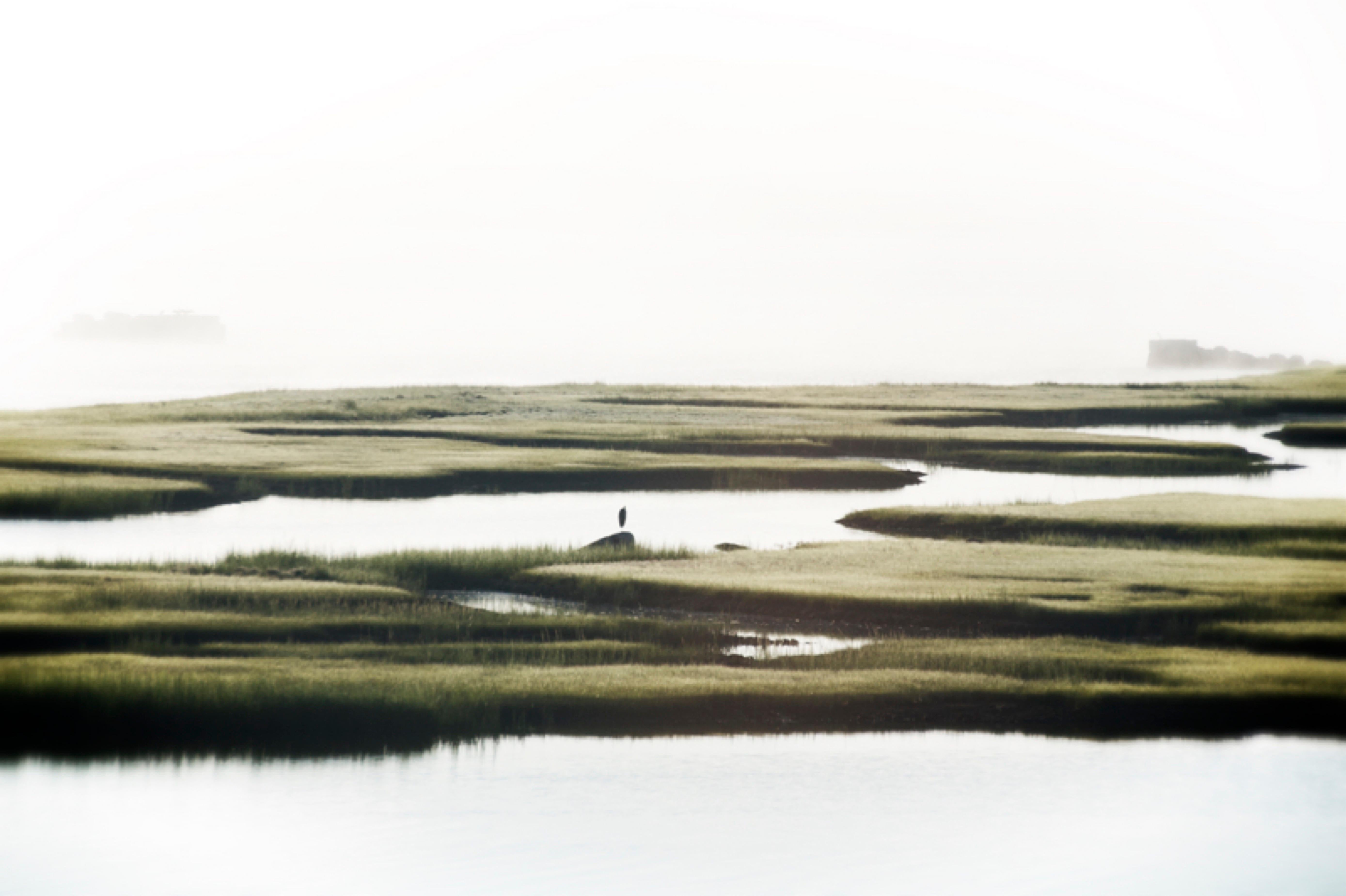 Color Photograph Stuart Möller - Mist du Massachusetts  Impression surdimensionnée signée édition limitée 