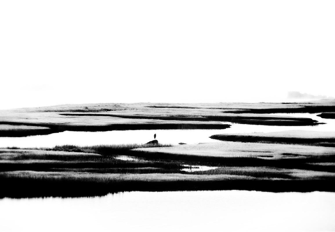 Brume du Massachusetts II
Par Stuart Möller

Un héron dans son coin de chasse par un matin brumeux d'été en Nouvelle-Angleterre à Marion, Massachusetts USA.

20 x 30" pouces / 51 x 76 cm format du papier 
Impression au pigment d'archivage
Sans cadre