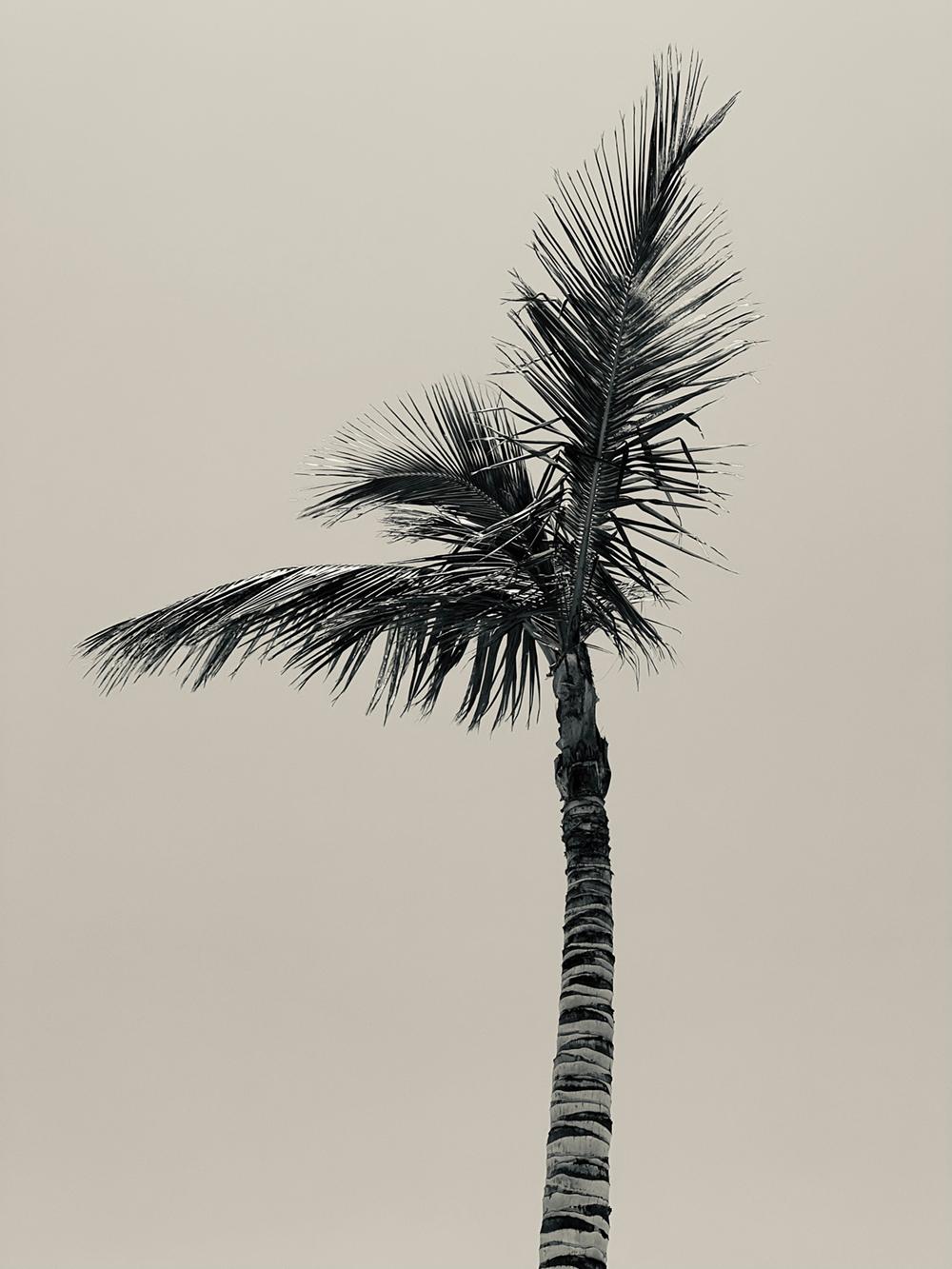 Minimaliste Photographies - Nature morte