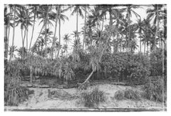 Palmenstrand' Stuart Möller Signierter Archival Pigment Print in limitierter Auflage