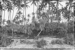 Palmenstrand' Stuart Möller Signierter Archival Pigment Print in limitierter Auflage