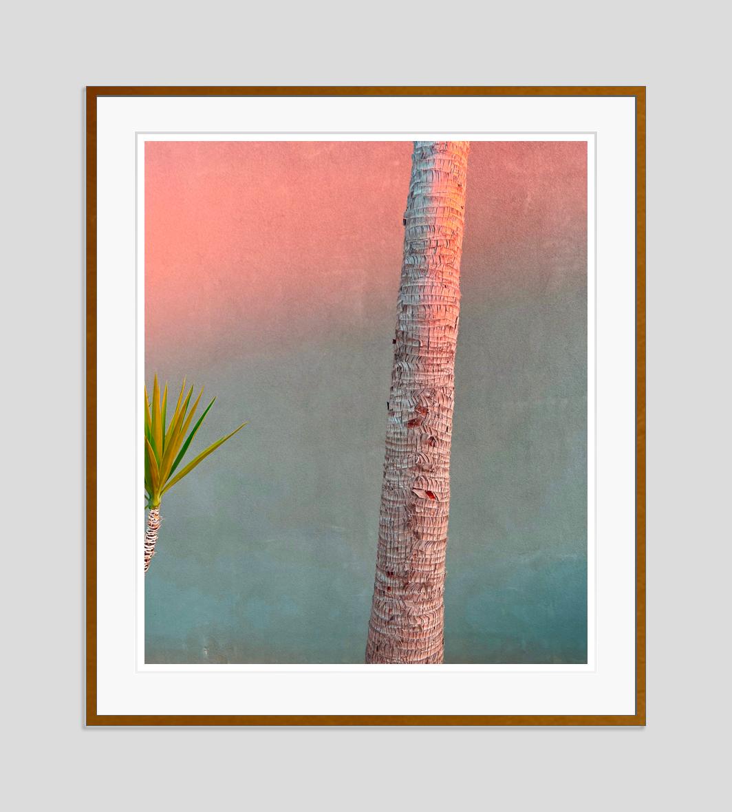 Pink Evening Yucca and Palm 2022 by Stuart Möller For Sale 3