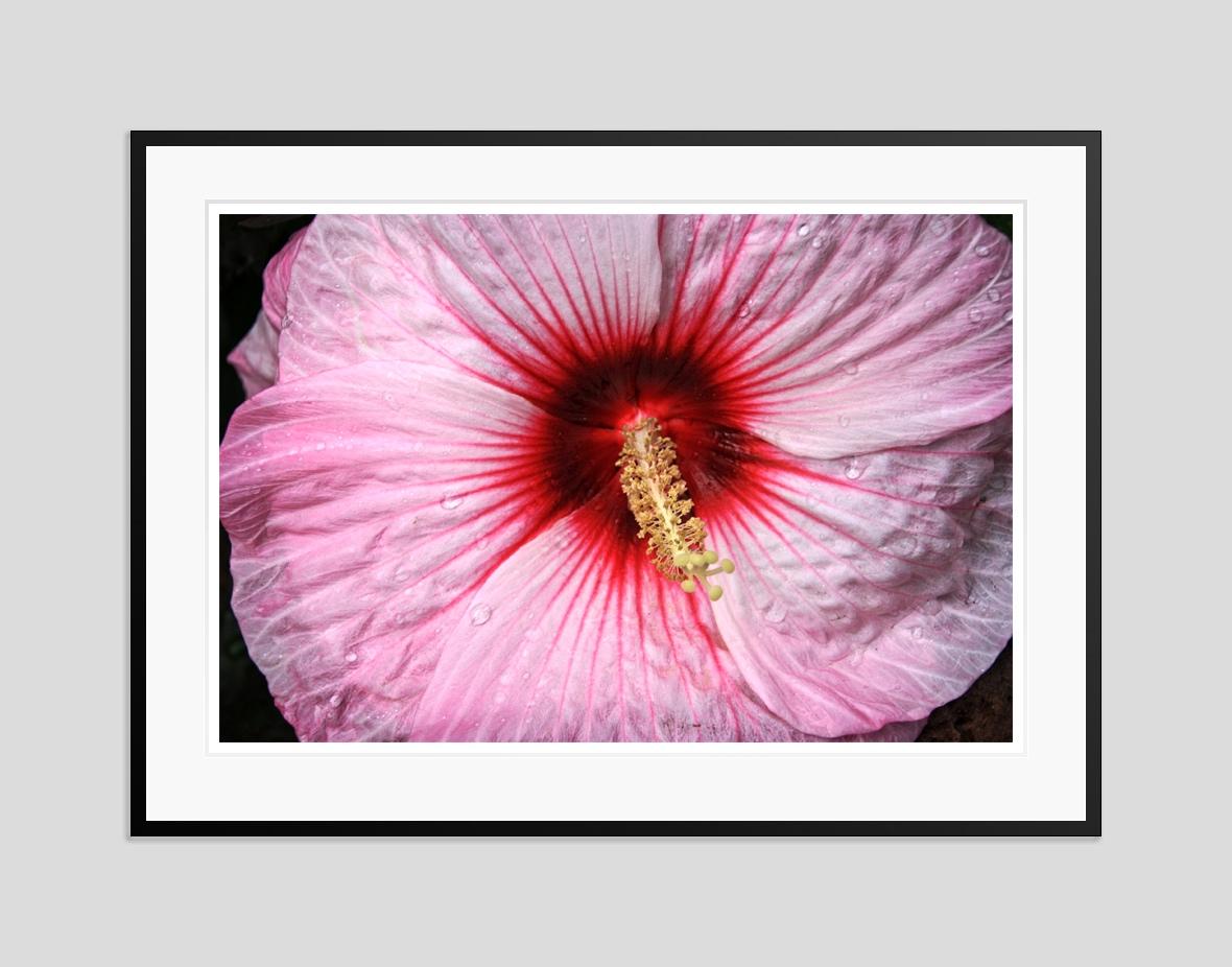 Sex Flower by Stuart Möller For Sale 1