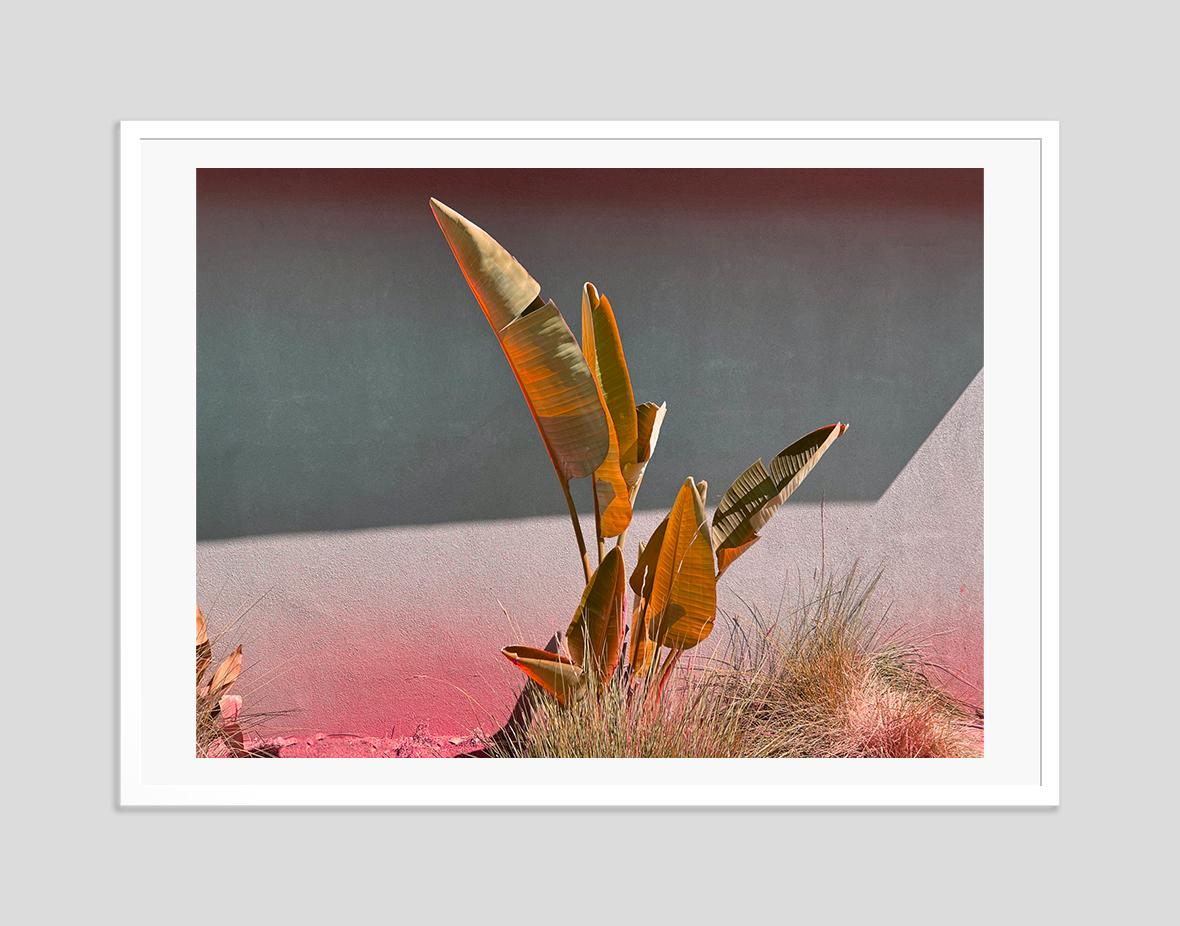 Stay Gold -  Oversize Signed Limited Edition Print  - Photograph by Stuart Möller