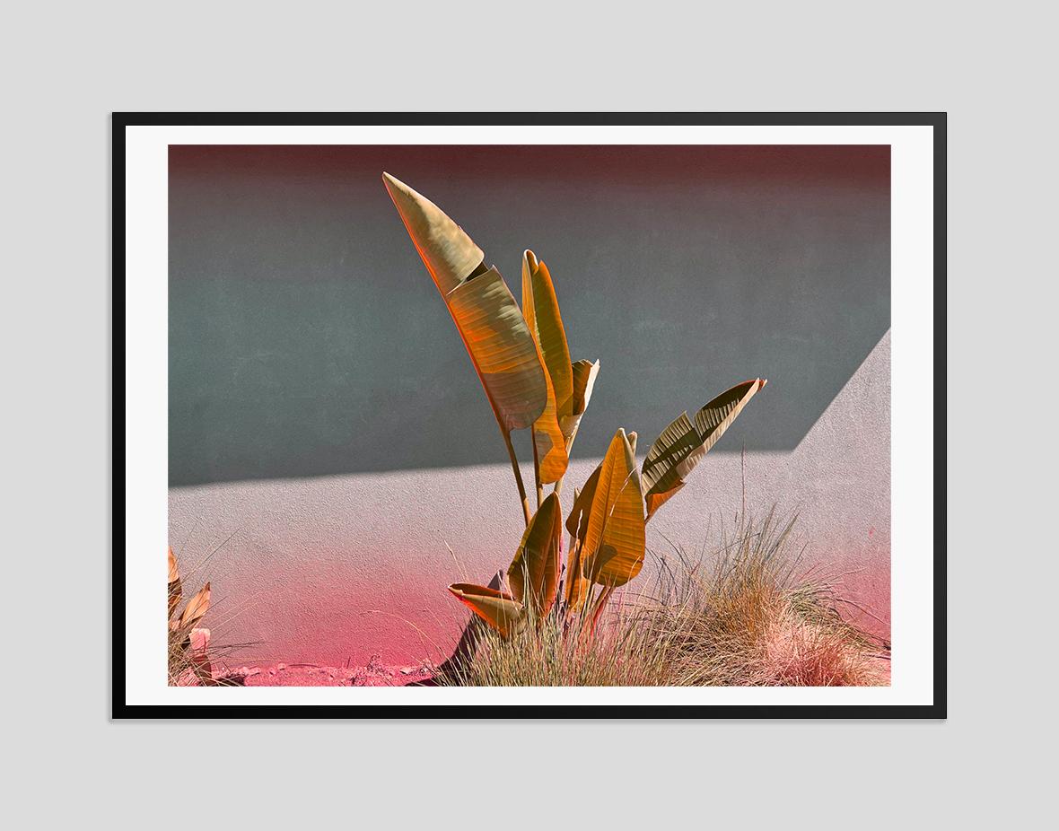 Stay Gold -  Oversize Signed Limited Edition Print  - Modern Photograph by Stuart Möller