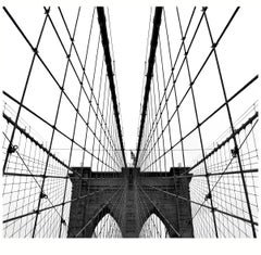'Suspension Wires' Stuart Möller Signed Limited Edition Archival Pigment Print