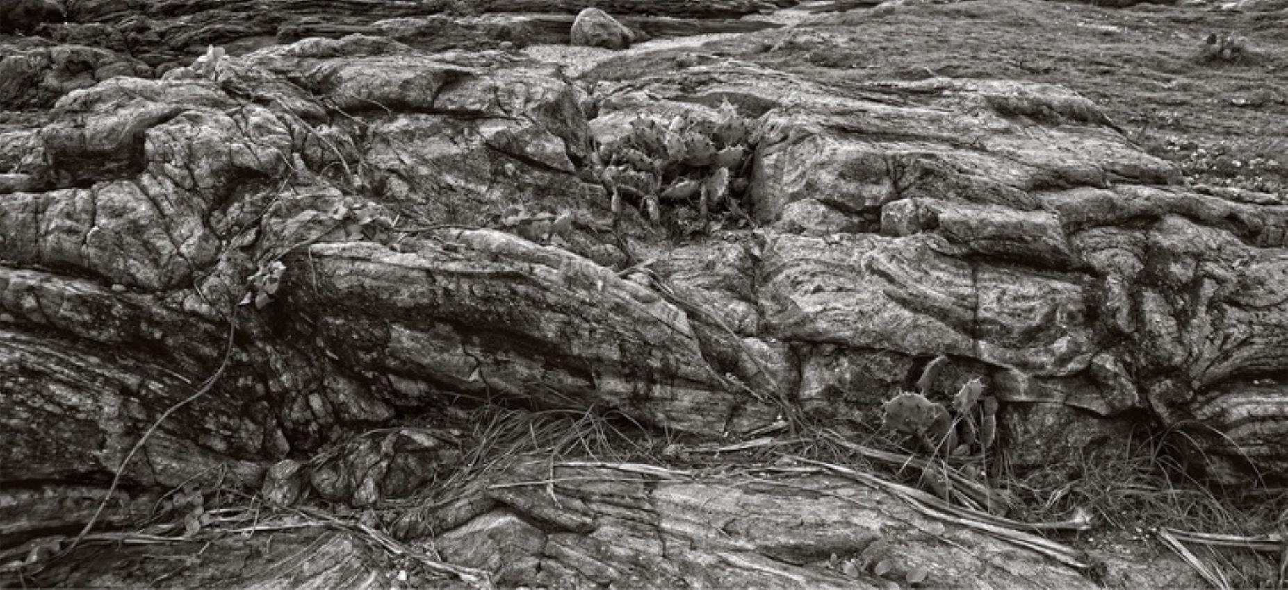 Non pardonné

Rochers et cactus près d'un littoral. 

par Stuart Möller

Né à Kaboul, d'origine allemande et anglo-indienne, il a grandi aux quatre coins du monde,
Stuart Möller est un photographe d'art dont les images se caractérisent souvent par