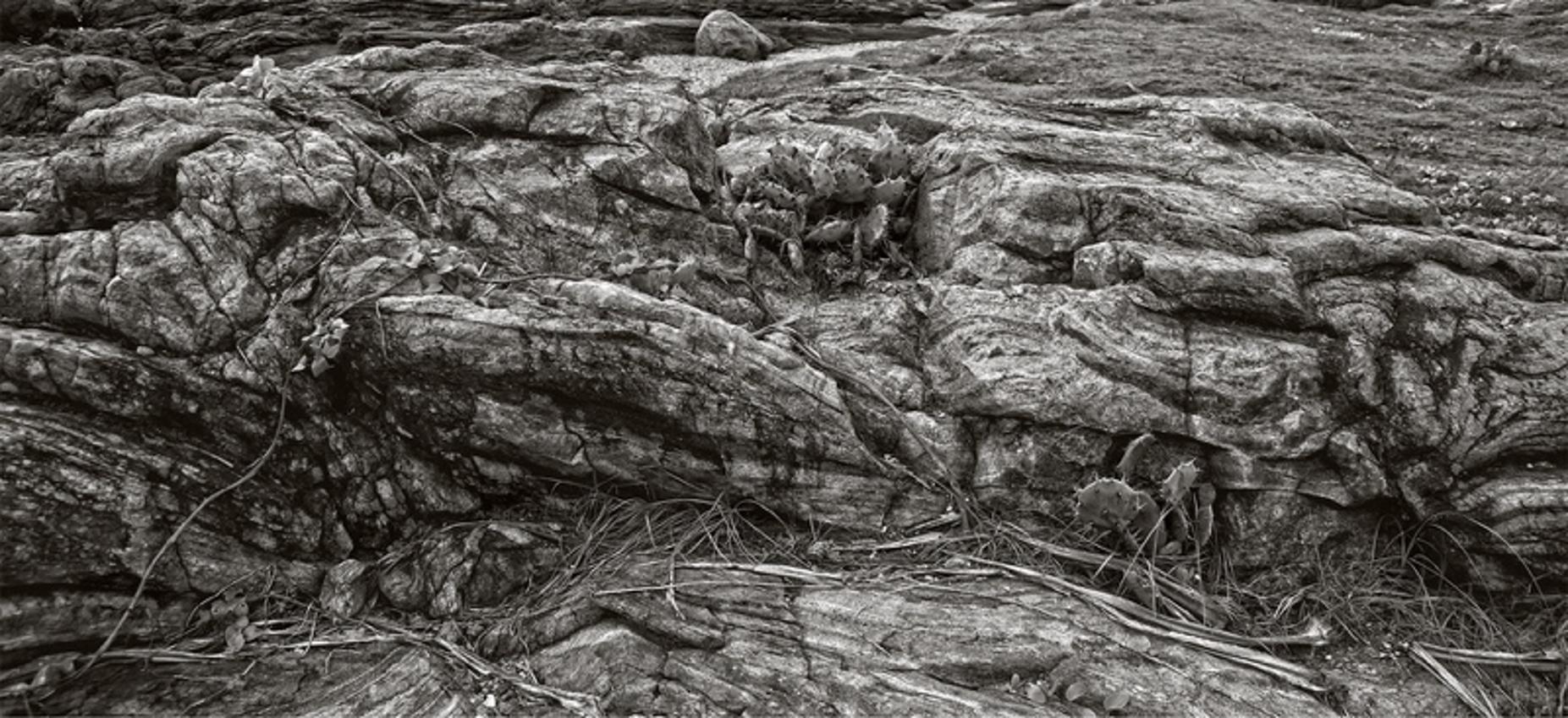Landscape Photograph de Stuart Möller - Sin perdón  - Edición limitada firmada