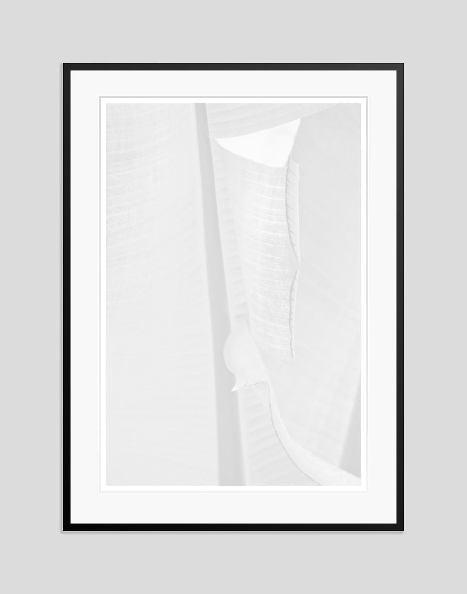 White Leaf by Stuart Möller For Sale 1