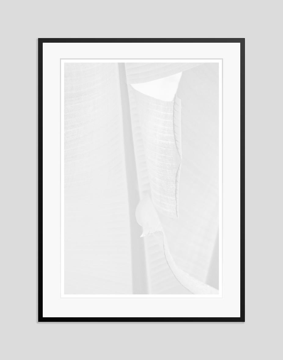 Hoja blanca de Stuart Möller en venta 1