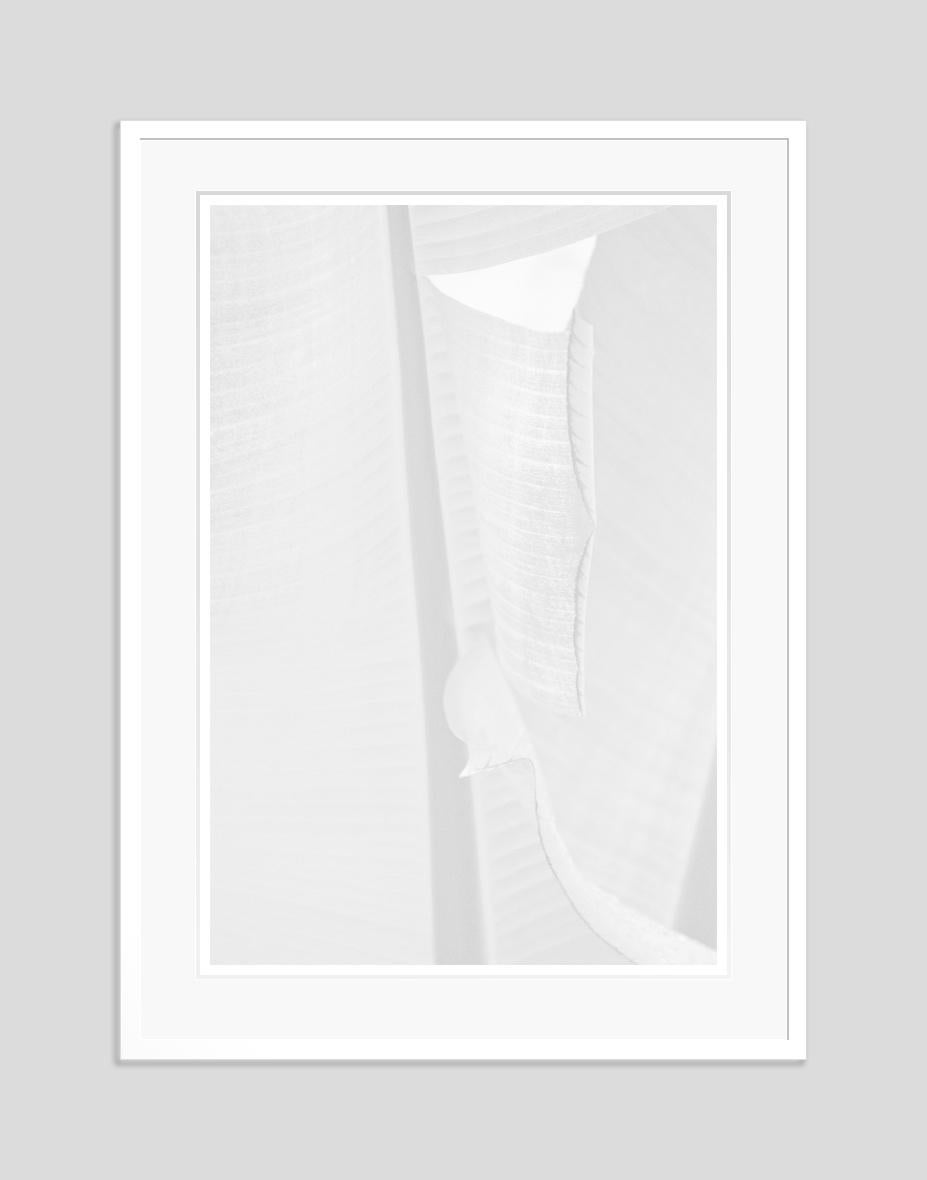 White Leaf by Stuart Möller For Sale 2