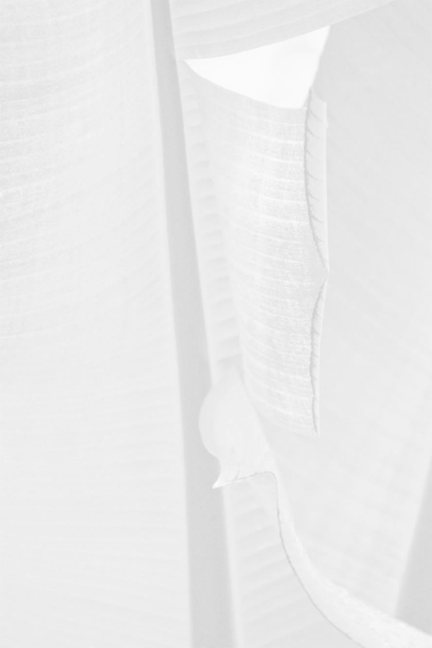 Stuart Möller Color Photograph - White Leaf -  Oversize Signed Limited Edition Print 