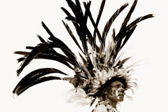 Bird of paradise