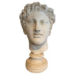 Vintage Stucco head of a roman figure