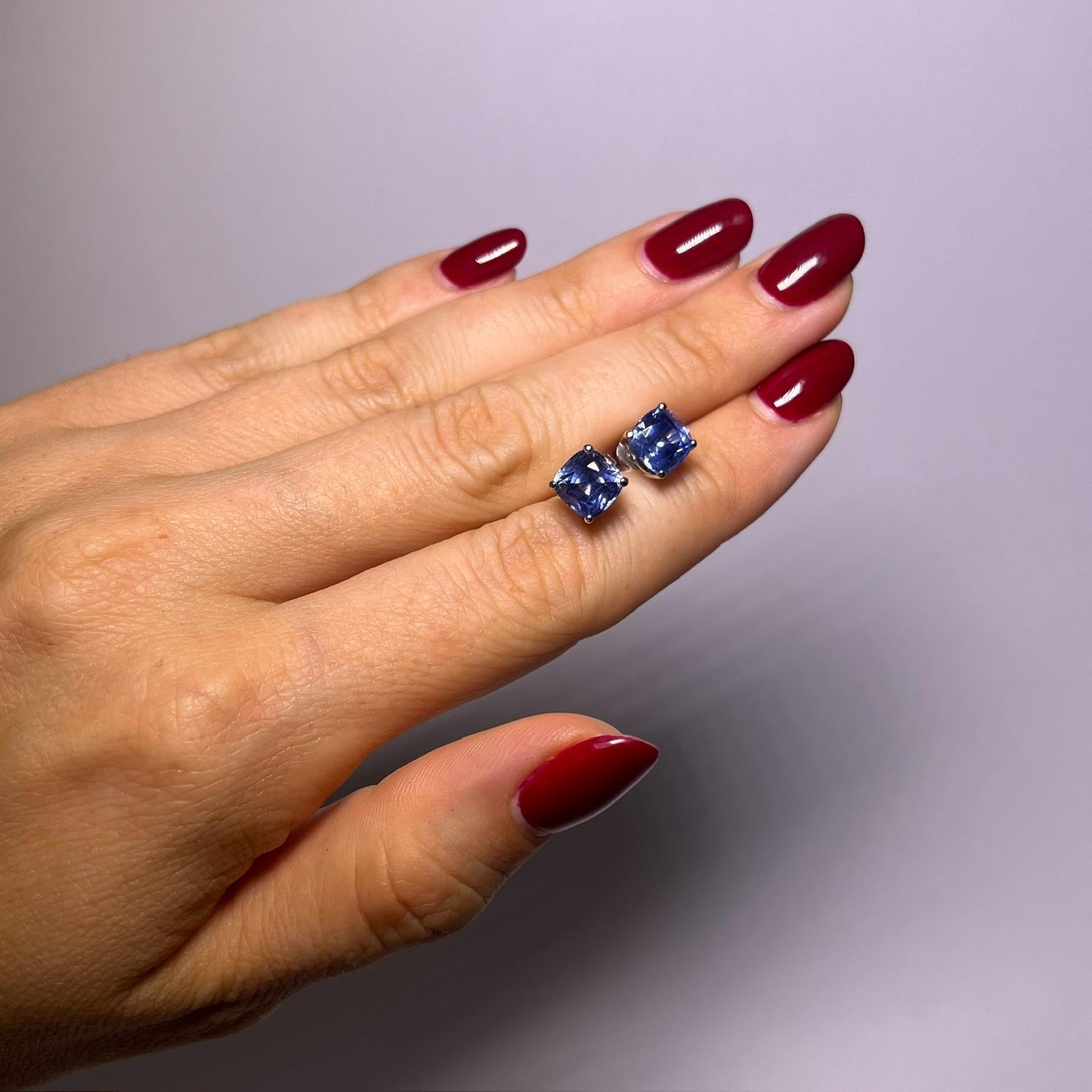 Studd Earrings with unheated Sapphires in 18 Karat White Gold For Sale 1