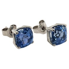 Studd Earrings with unheated Sapphires in 18 Karat White Gold