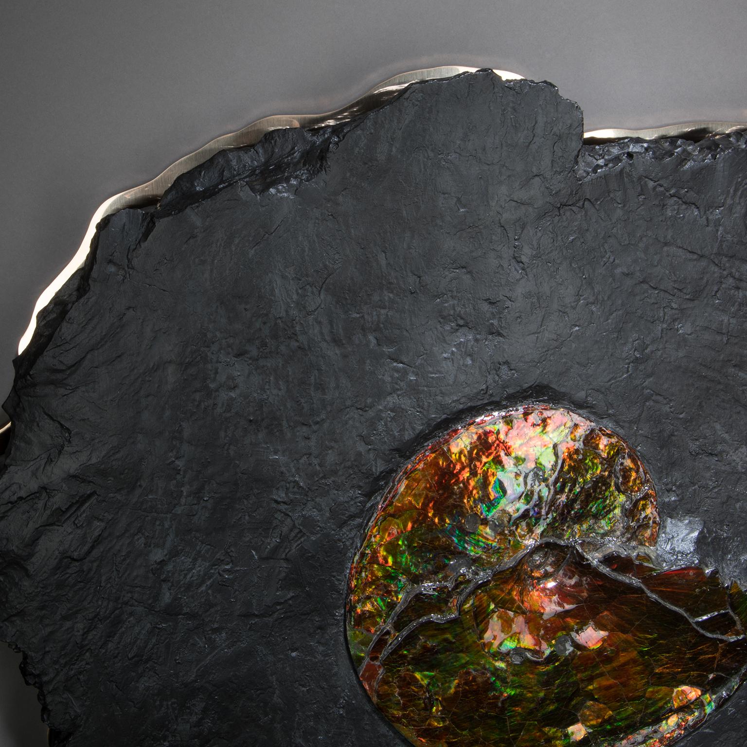 Studio Greytak 'Ammonite on Bronze' Ammonite and Mirror Polished Bronze Wall Art For Sale 4