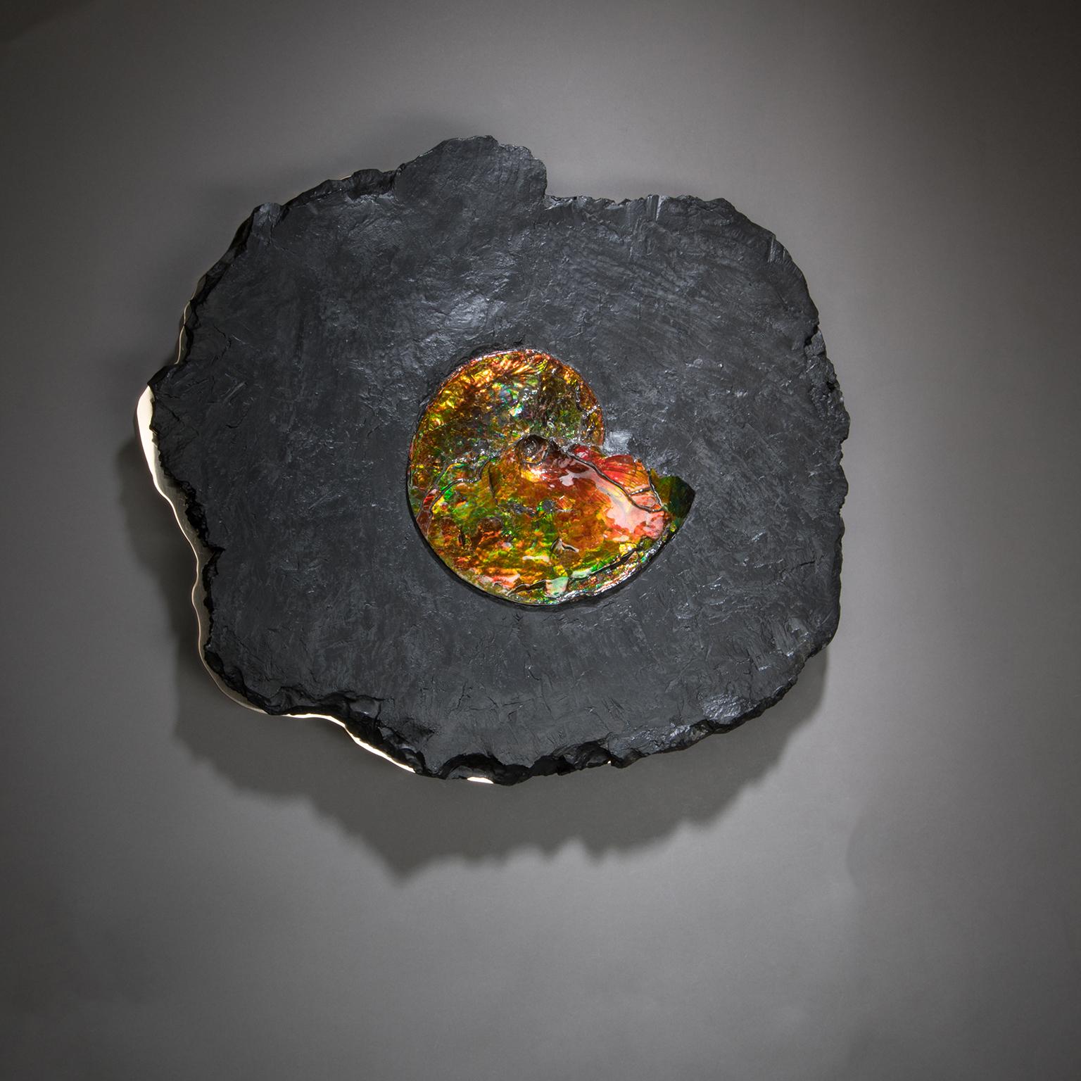 Studio Greytak 'Ammonite on Bronze' Ammonite and Mirror Polished Bronze Wall Art For Sale 5