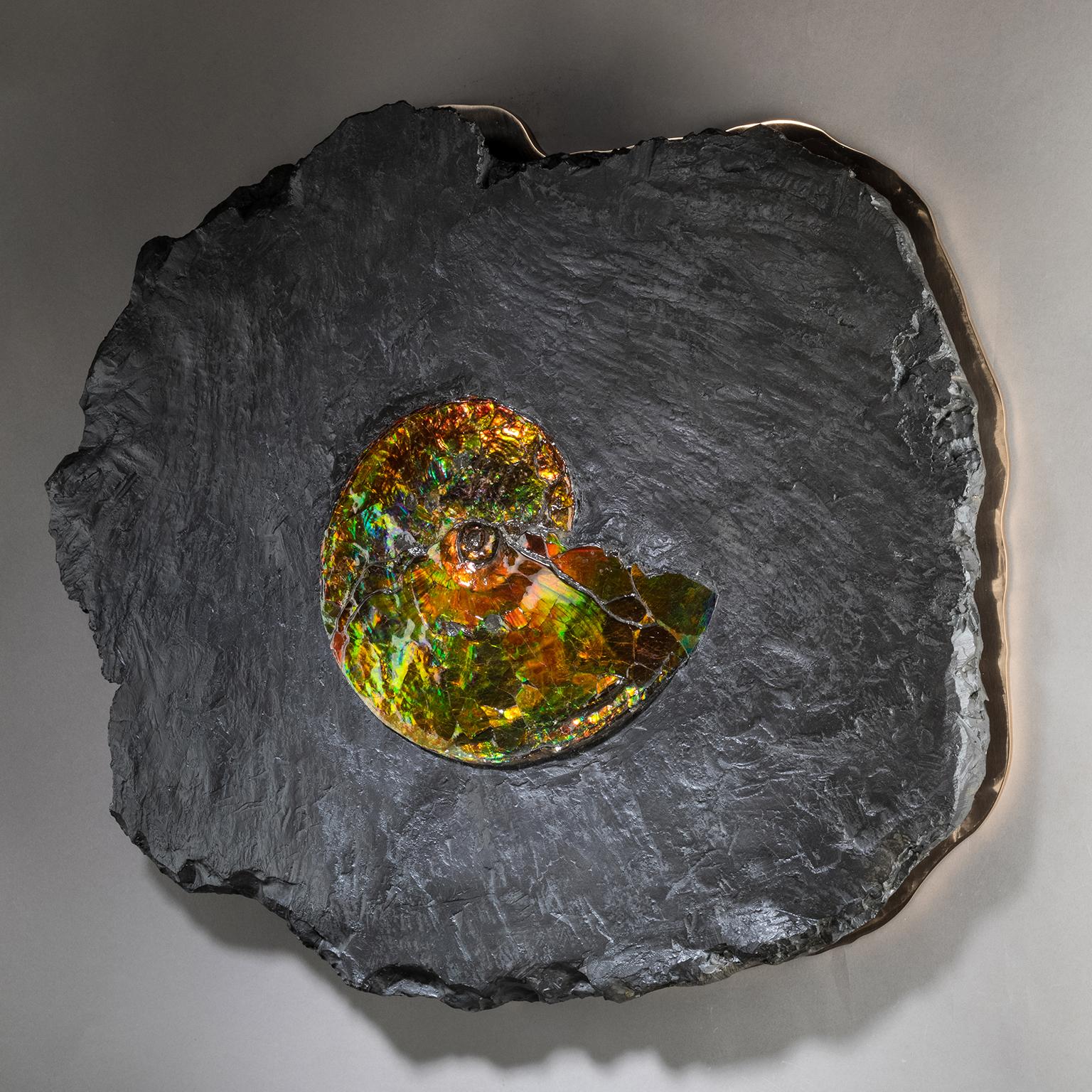 Studio Greytak 'Ammonite on Bronze' Ammonite and Mirror Polished Bronze Wall Art For Sale 6