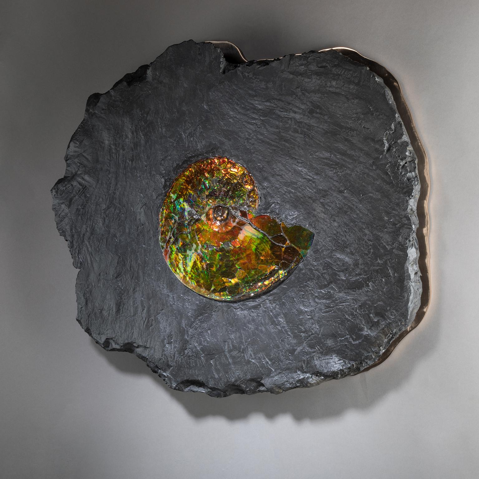 AMMONITE ON BRONZE

The story of Studio Greytak’s Ammonite on Bronze begins 71 million years ago in a vast, tropical inland sea on the eastern border of today’s Rocky Mountains. The exotic species that shared the warm waters, marine reptiles,