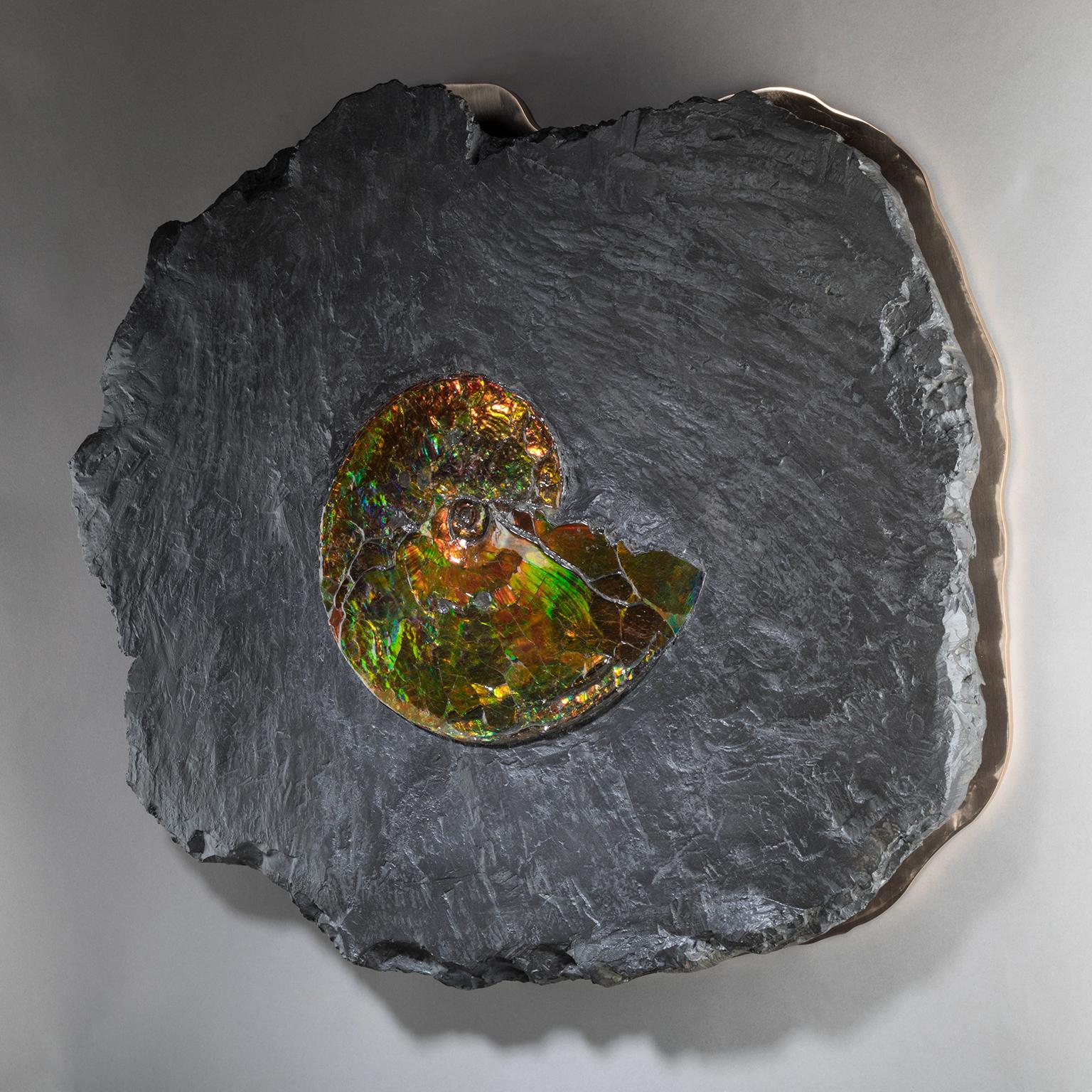 Studio Greytak 'Ammonite on Bronze' Ammonite and Mirror Polished Bronze Wall Art For Sale 1