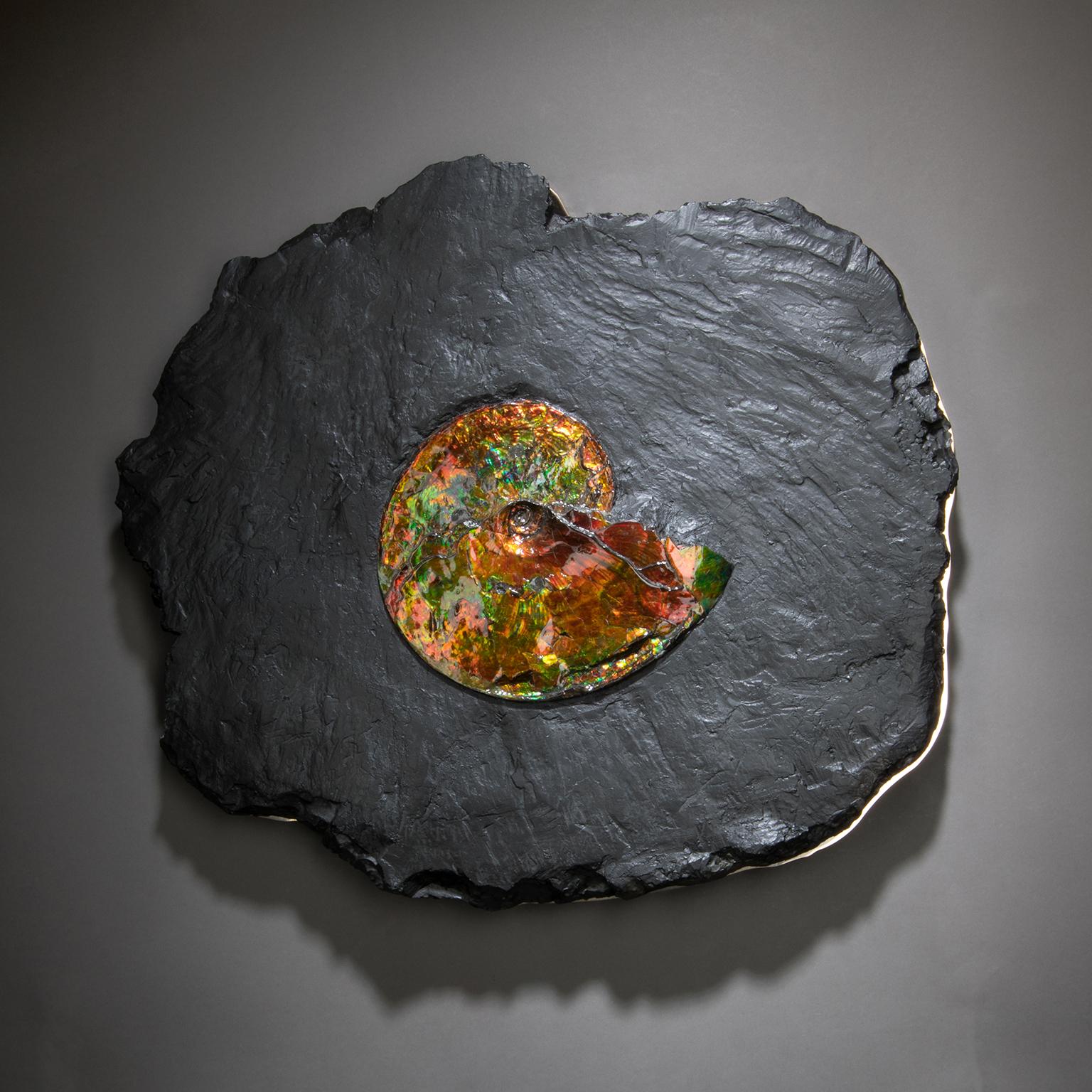 Studio Greytak 'Ammonite on Bronze' Ammonite and Mirror Polished Bronze Wall Art For Sale 3